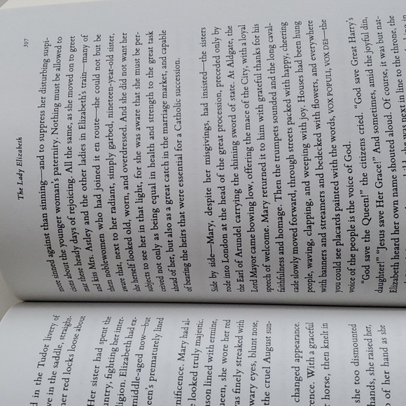The Lady Elizabeth a novel exploring Elizabeth Tudor "lady princess" King Henry - Picture 4 of 4